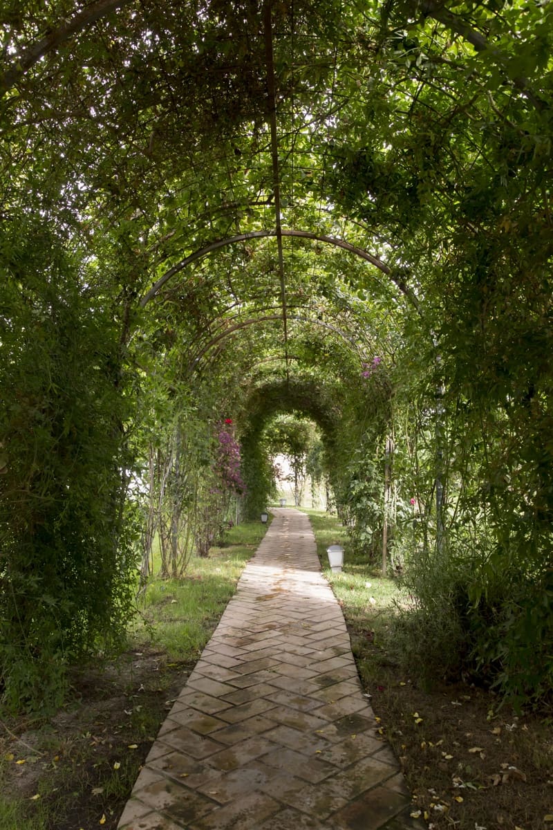 5 makuuhuone Maalaistalo myytävänä paikassa Melegis mukana uima-altaan 
autotalli - 850 000 € (Ref: 9451398)