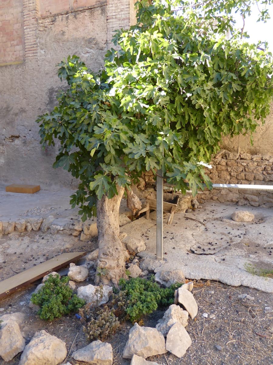 7 camera da letto Casa in vendita in Pinos del Valle con garage - 212.500 € (Rif: 9687469)