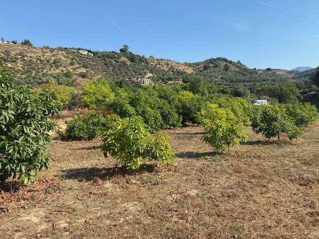 Grond te koop in Lecrín - € 262.500 (Ref: 9961094)