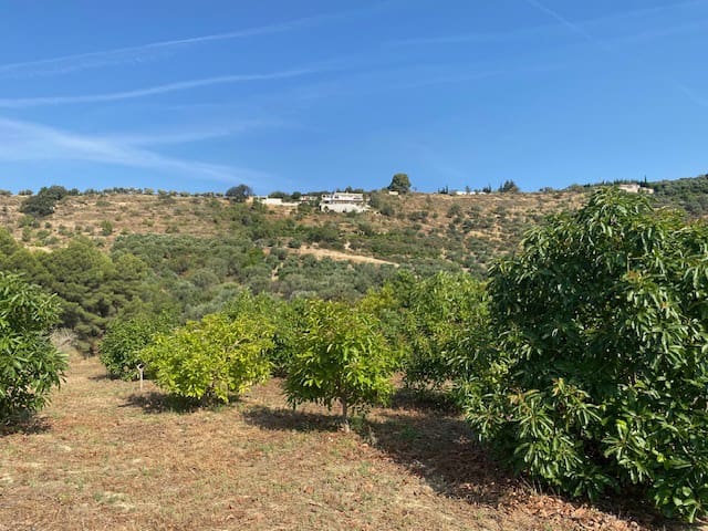Grond te koop in Lecrín - € 262.500 (Ref: 9961094)