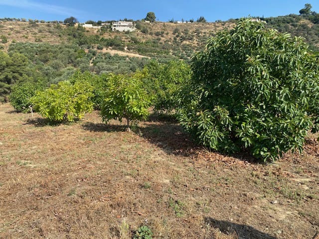 Grond te koop in Lecrín - € 262.500 (Ref: 9961094)