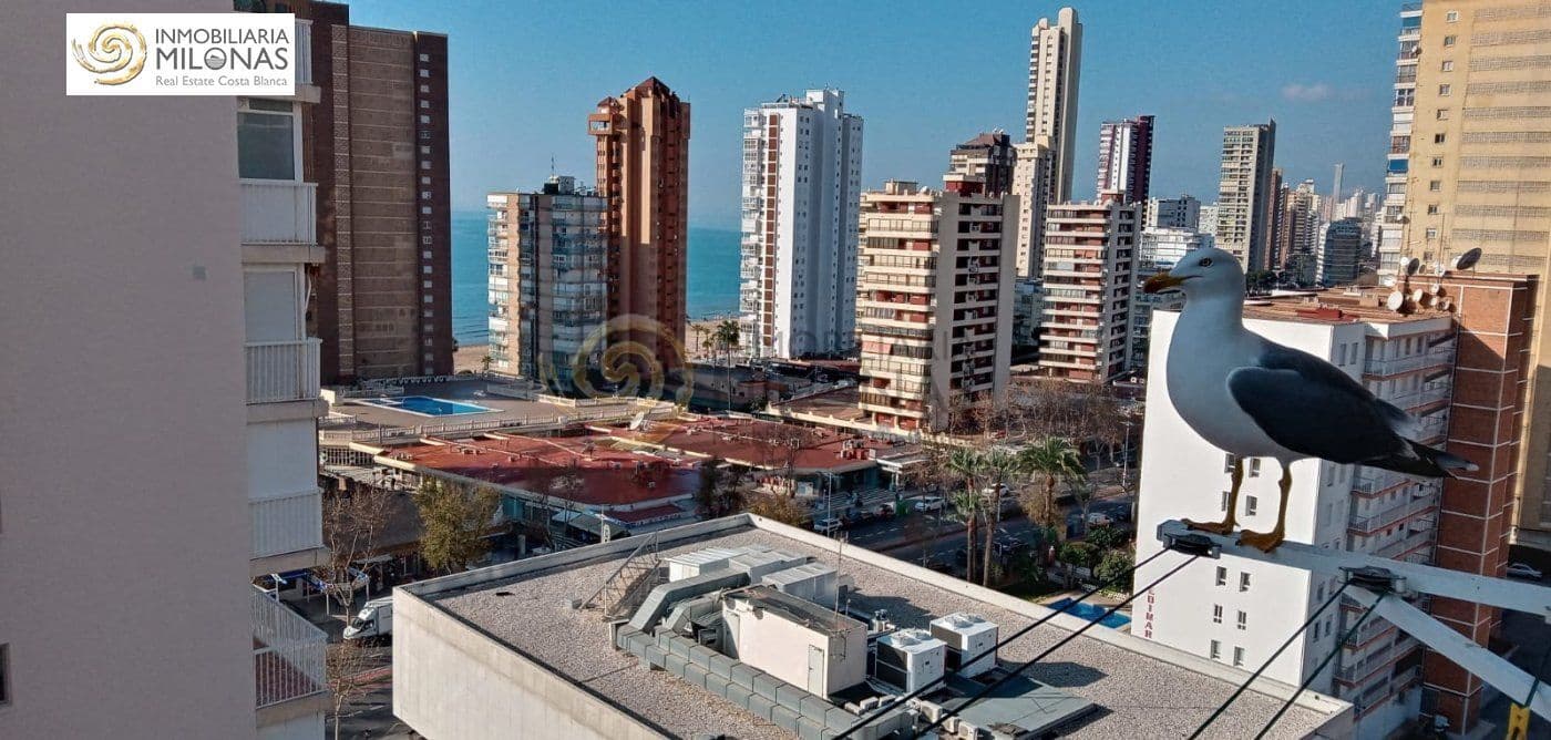1 camera da letto Appartamento in vendita in Benidorm con piscina - 159.000 € (Rif: 10081374)