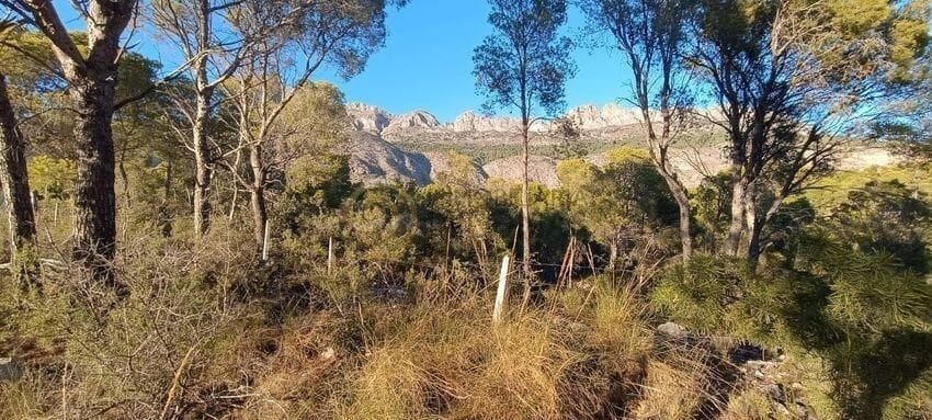 Byggetomt til salgs i Altea la Vella - € 274 900 (Ref: 8865895)