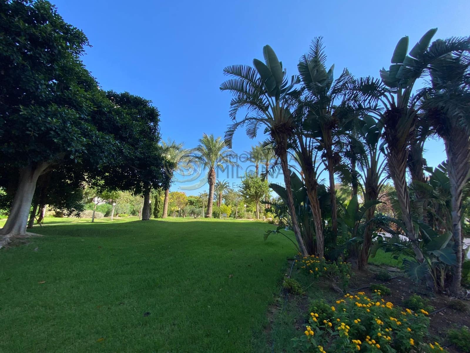 4 slaapkamer Flat te huur in Benidorm met zwembad garage - € 1.800 (Ref: 8865969)