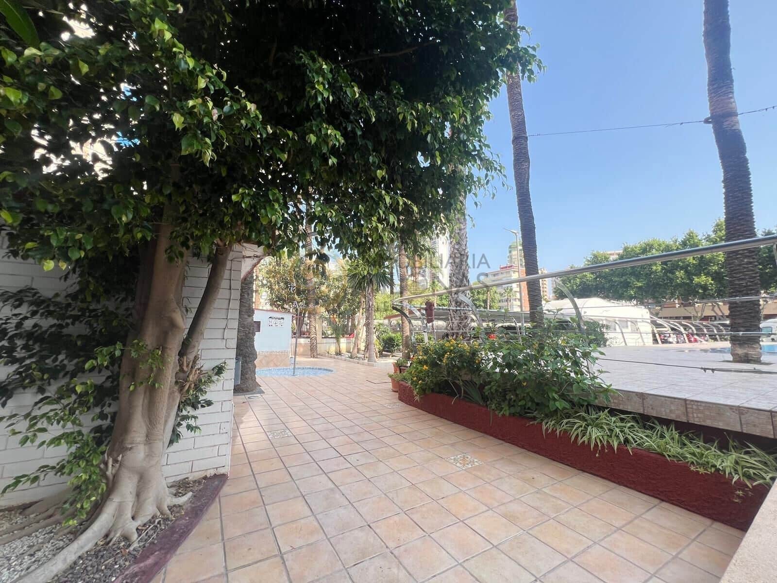 2 quarto Estúdio para venda em Benidorm com piscina - 315 000 € (Ref: 9048894)