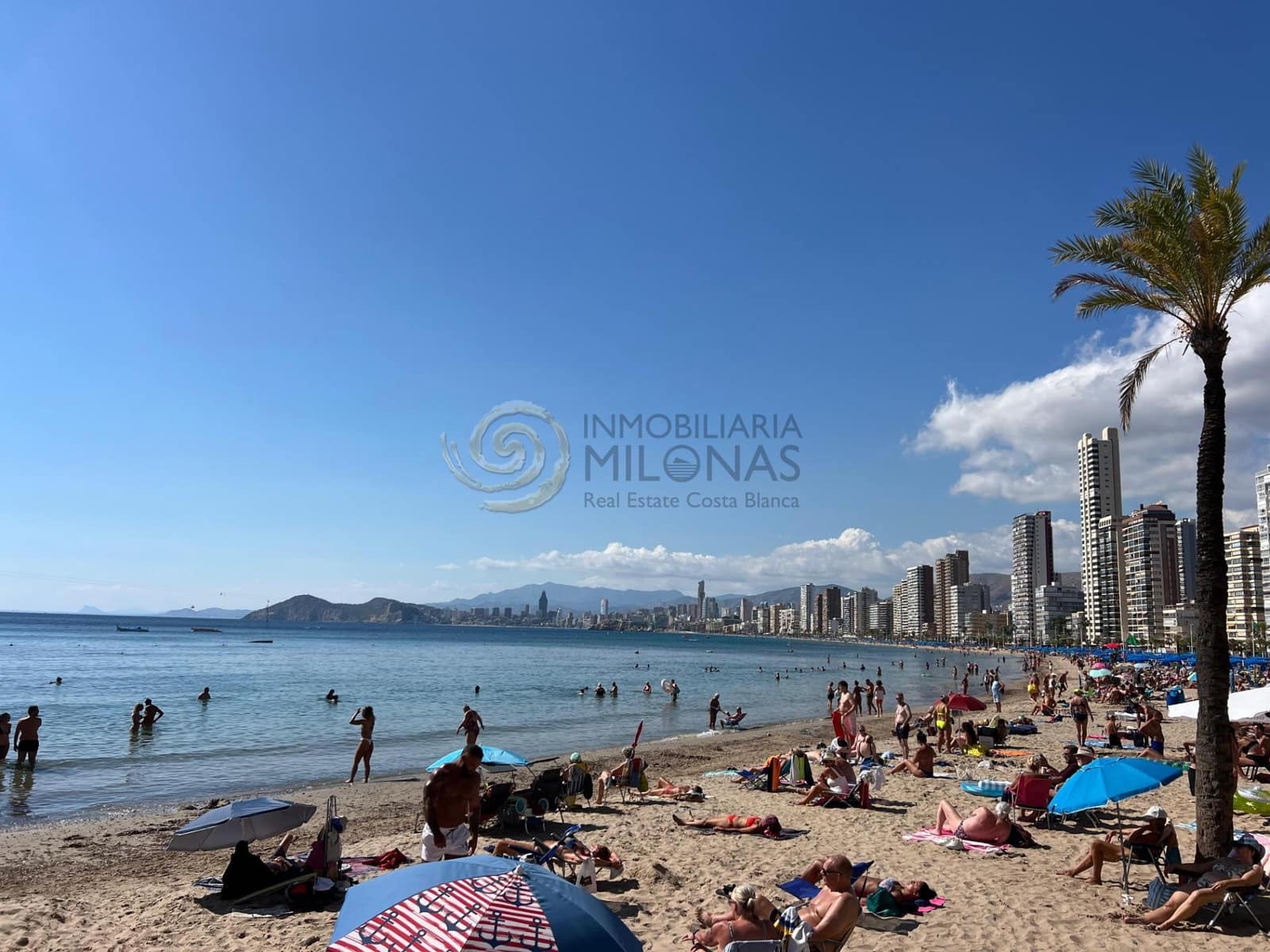 1 sypialnia Mieszkanie na sprzedaż w Benidorm z basenem - 348 000 € (Ref: 9285303)