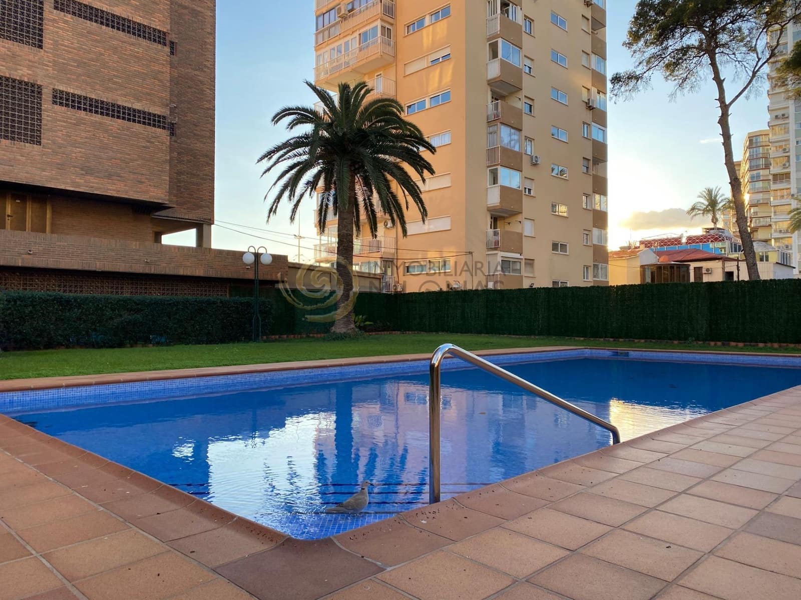 4 makuuhuone Asunto vuokrattavana paikassa Benidorm mukana uima-altaan - 2 000 € (Ref: 9308602)