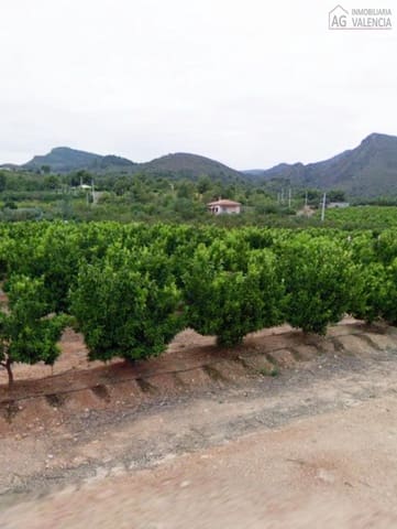 Terre non Aménagée à vendre à Torres Torres - 650 000 € (Ref: 9378504)