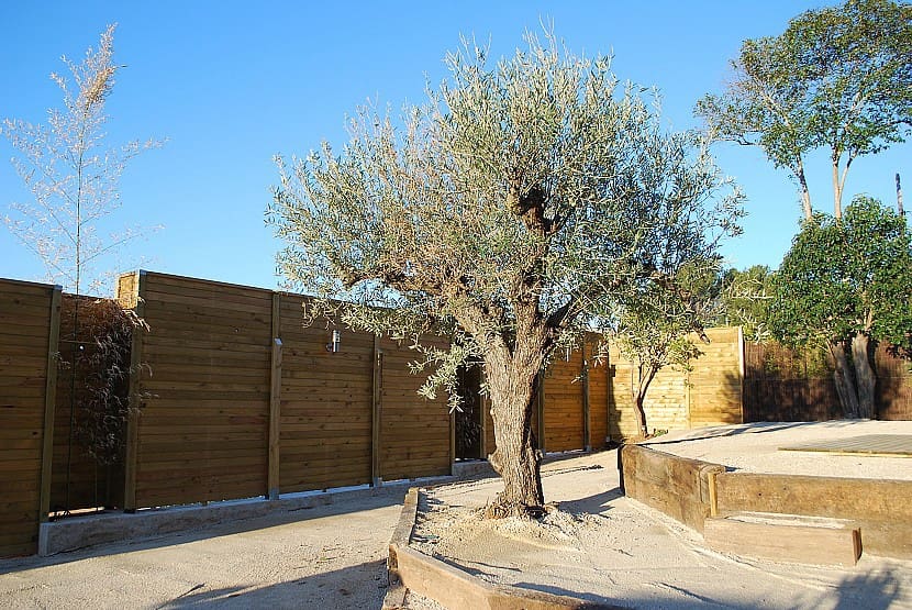 9 slaapkamer Villa te koop in Gandia met zwembad - € 990.000 (Ref: 9306319)