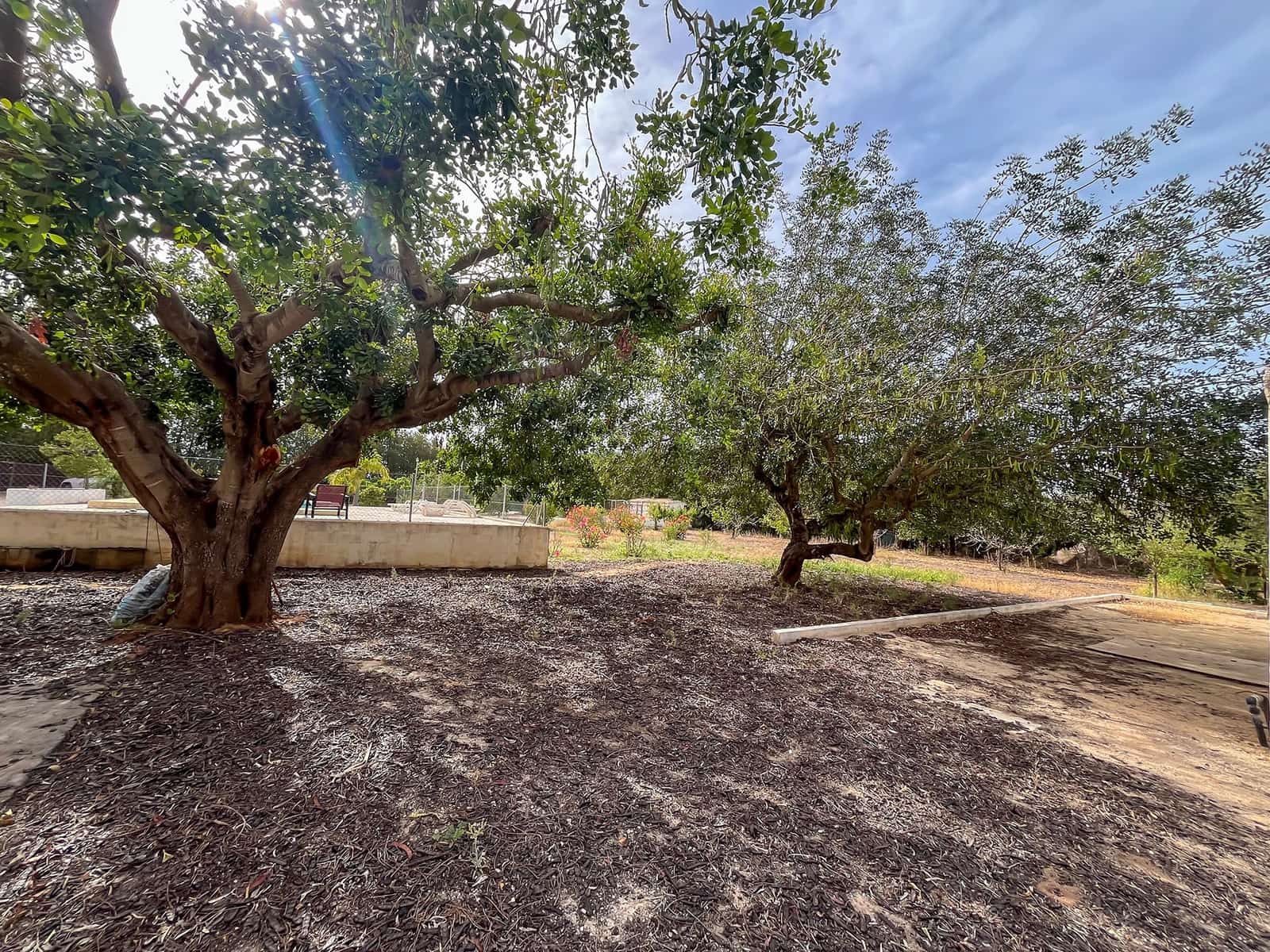 7 soverom Villa til salgs i La Xara med svømmebasseng - € 880 000 (Ref: 9308347)