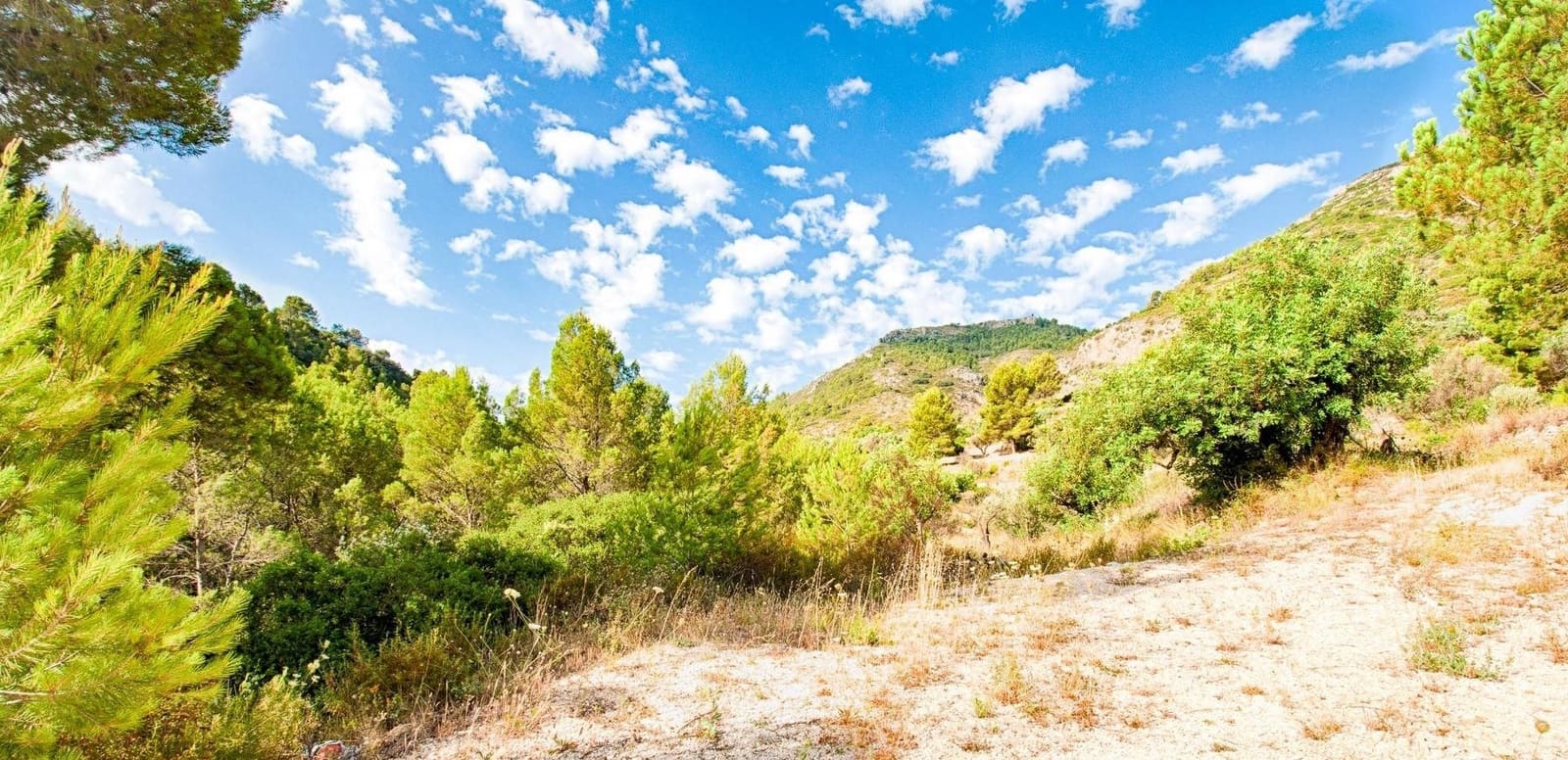 3 slaapkamer Villa te koop in Jalon / Xalo - € 649.000 (Ref: 9349838)