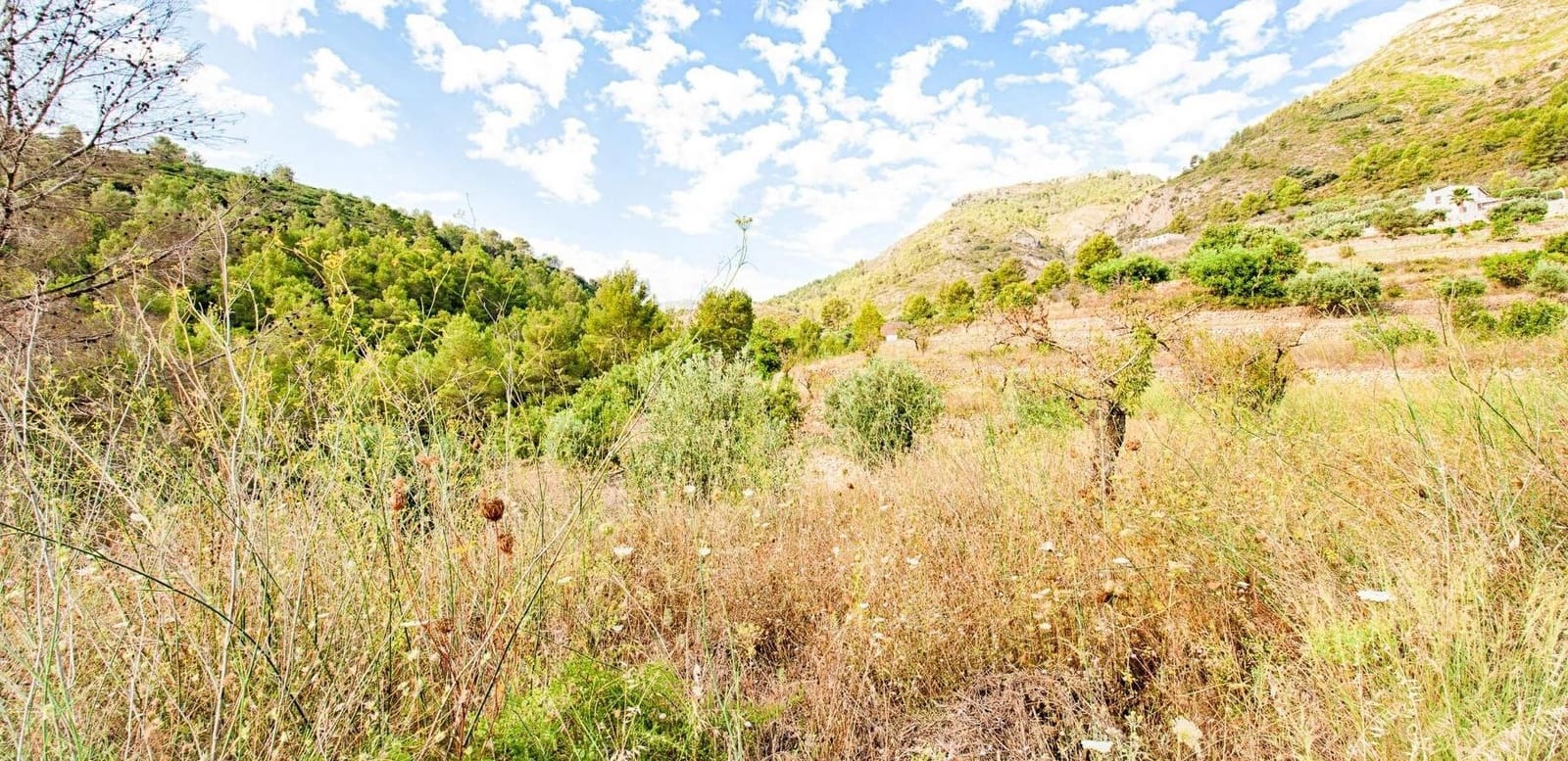 3 slaapkamer Villa te koop in Jalon / Xalo - € 649.000 (Ref: 9349838)