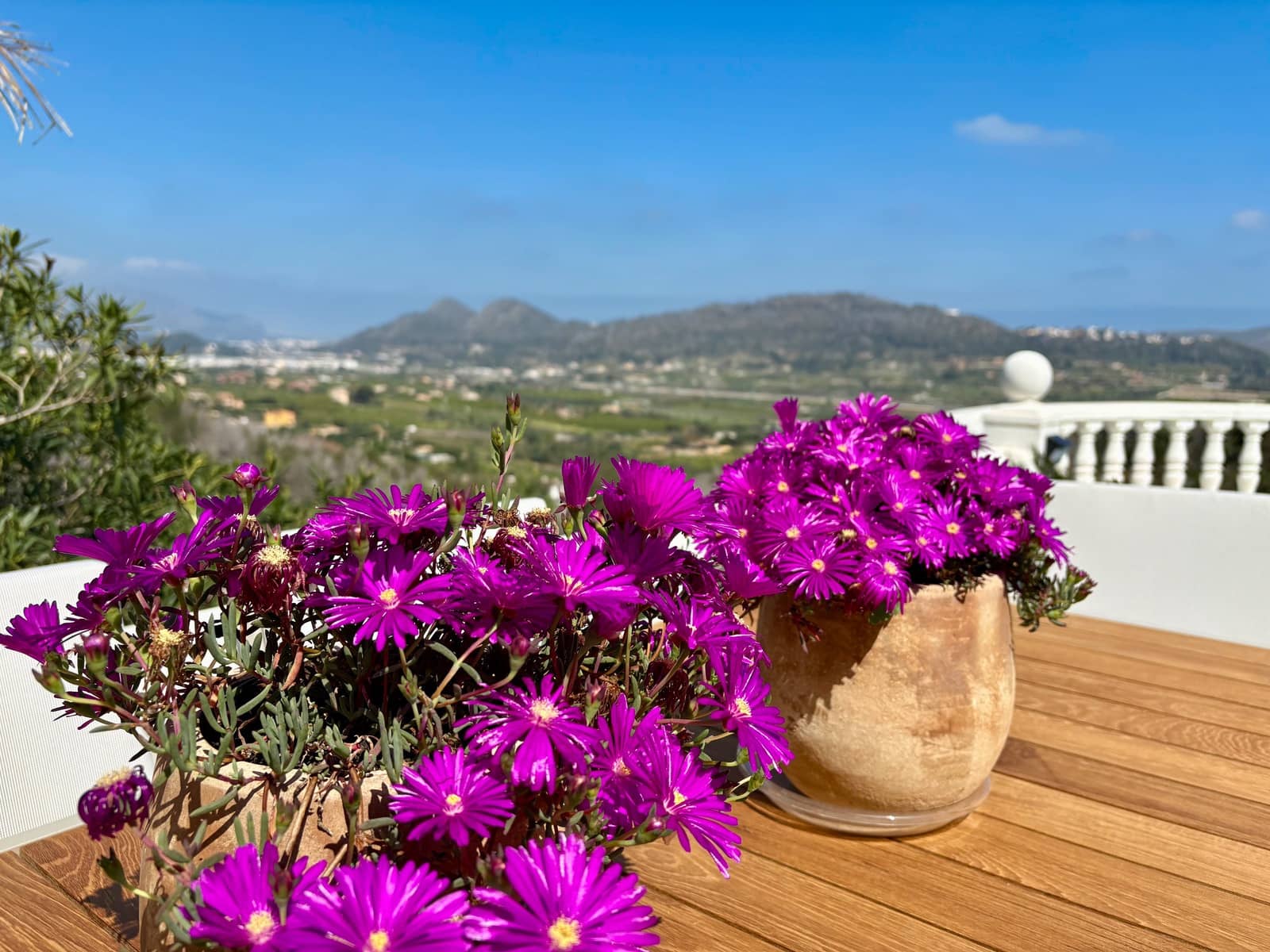 3 slaapkamer Villa te koop in Pedreguer met zwembad - € 479.000 (Ref: 9644592)