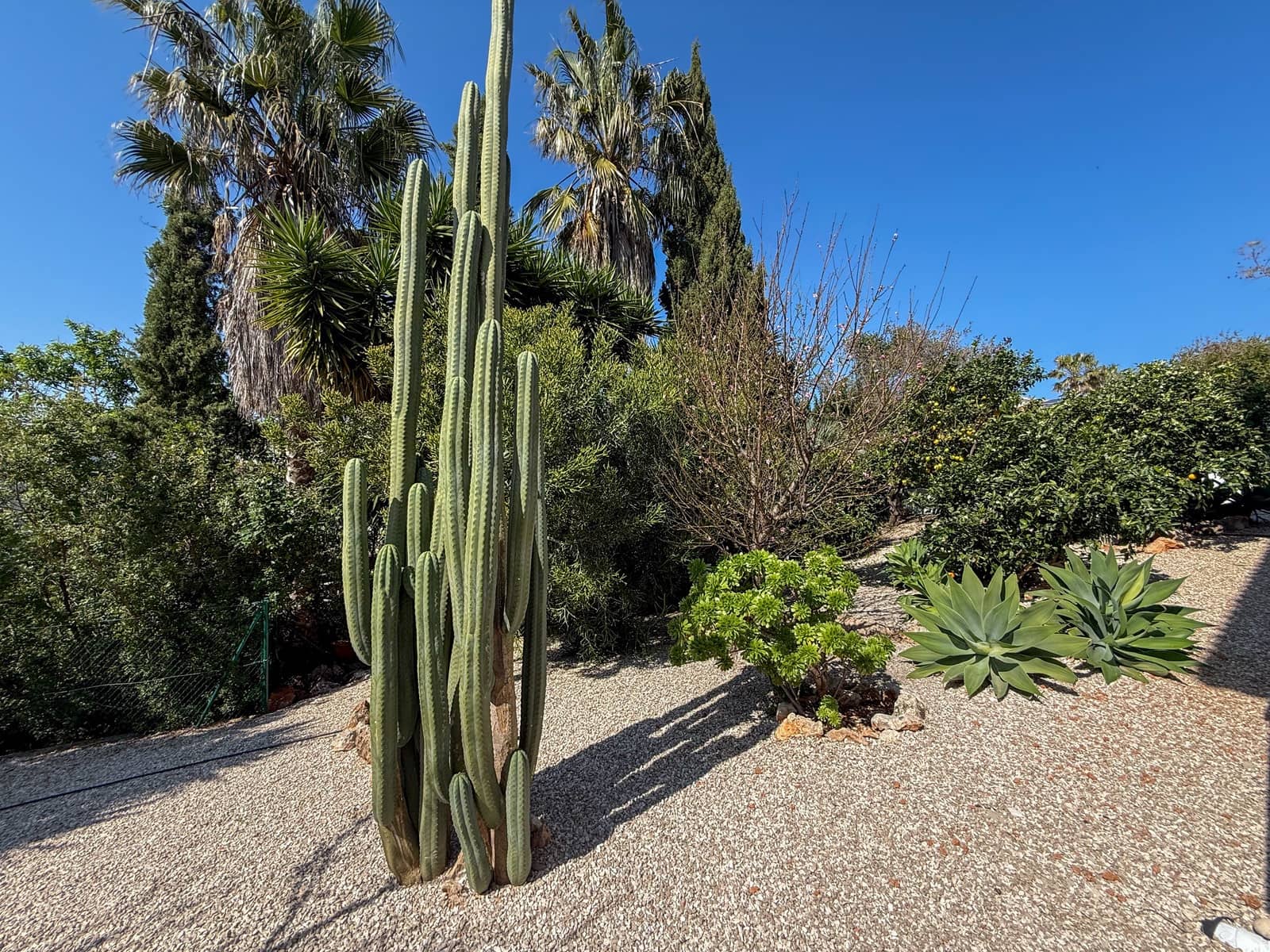 5 sypialnia Willa na sprzedaż w Monte Pego z basenem - 650 000 € (Ref: 9721407)