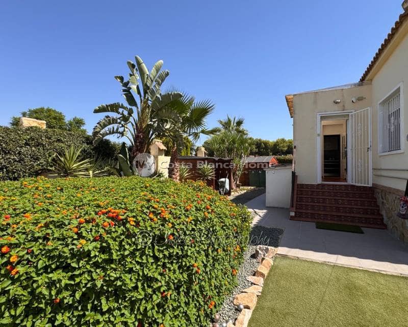 4 bedroom Villa for sale in Catral with pool - € 399,900 (Ref: 10050438)