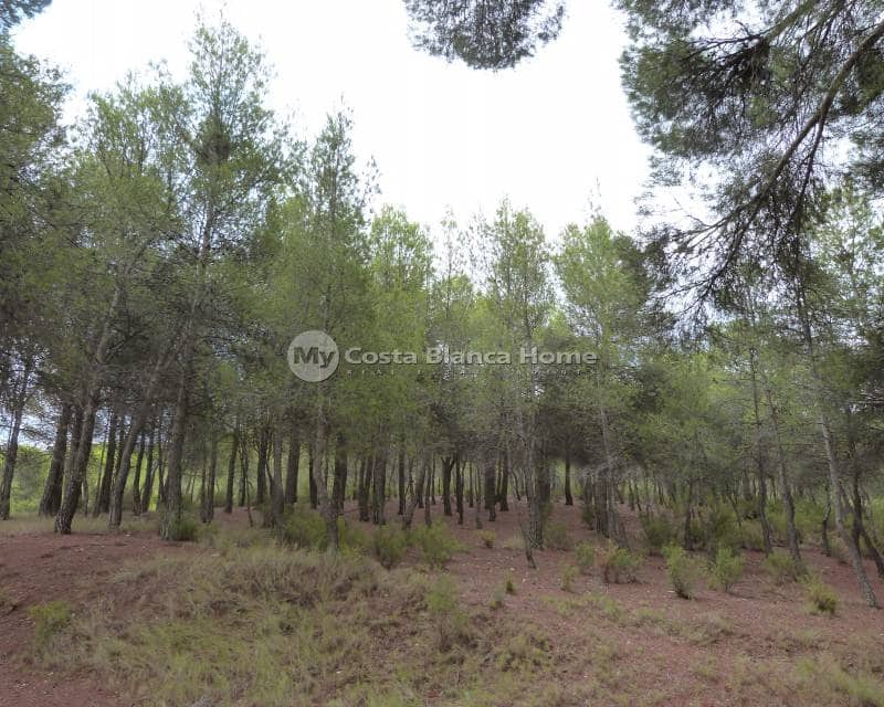 15 soveværelse Finca/Landehus til salg i Ibi med swimmingpool - € 850.000 (Ref: 8824121)