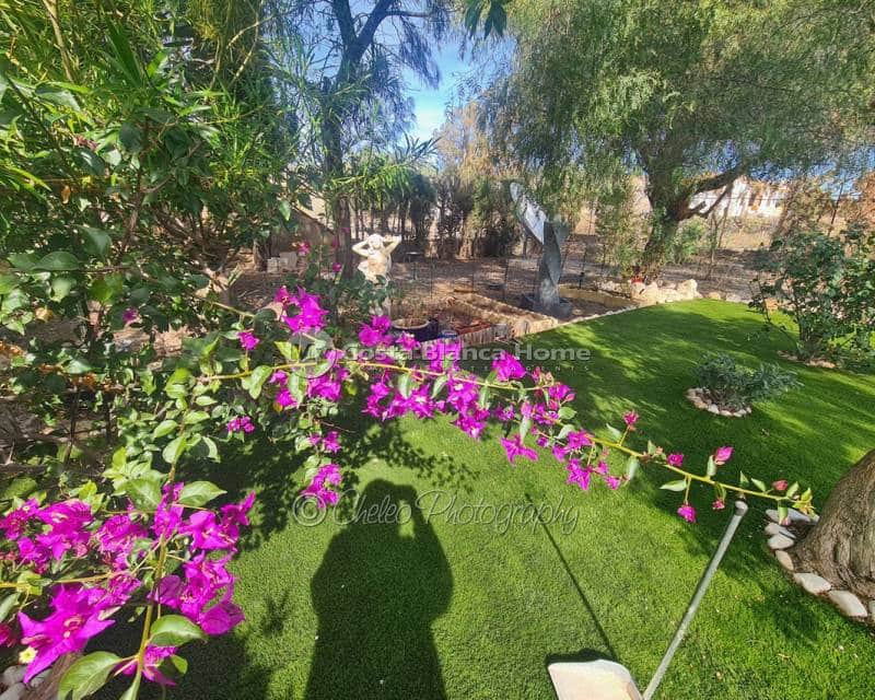 3 sovrum Finca/Hus på landet till salu i Albatera med pool - 229 950 € (Ref: 8848163)