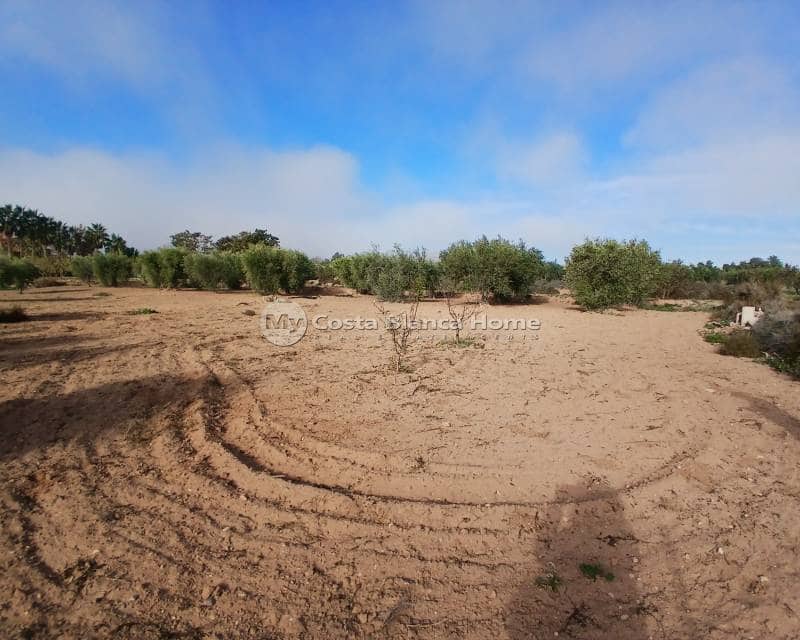 3 bedroom Finca/Country House for sale in Jumilla - € 140,000 (Ref: 8880731)