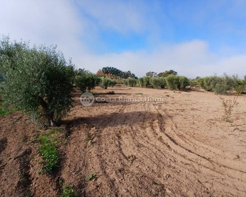 3 bedroom Finca/Country House for sale in Jumilla - € 140,000 (Ref: 8880731)