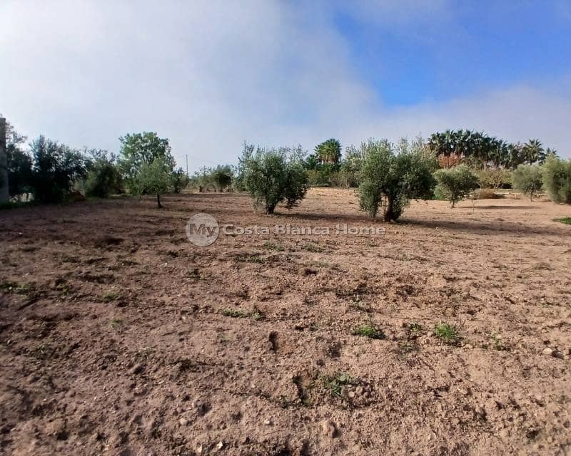3 bedroom Finca/Country House for sale in Jumilla - € 140,000 (Ref: 8880731)