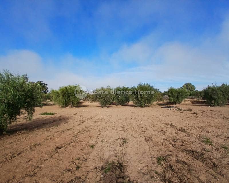 3 bedroom Finca/Country House for sale in Jumilla - € 140,000 (Ref: 8880731)