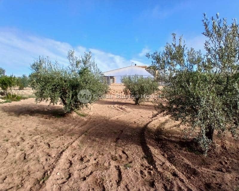 3 bedroom Finca/Country House for sale in Jumilla - € 140,000 (Ref: 8880731)