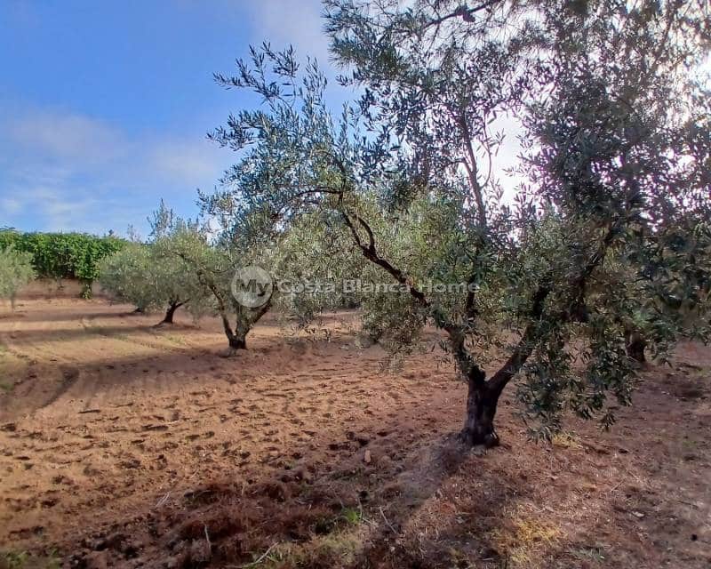 3 bedroom Finca/Country House for sale in Jumilla - € 140,000 (Ref: 8880731)