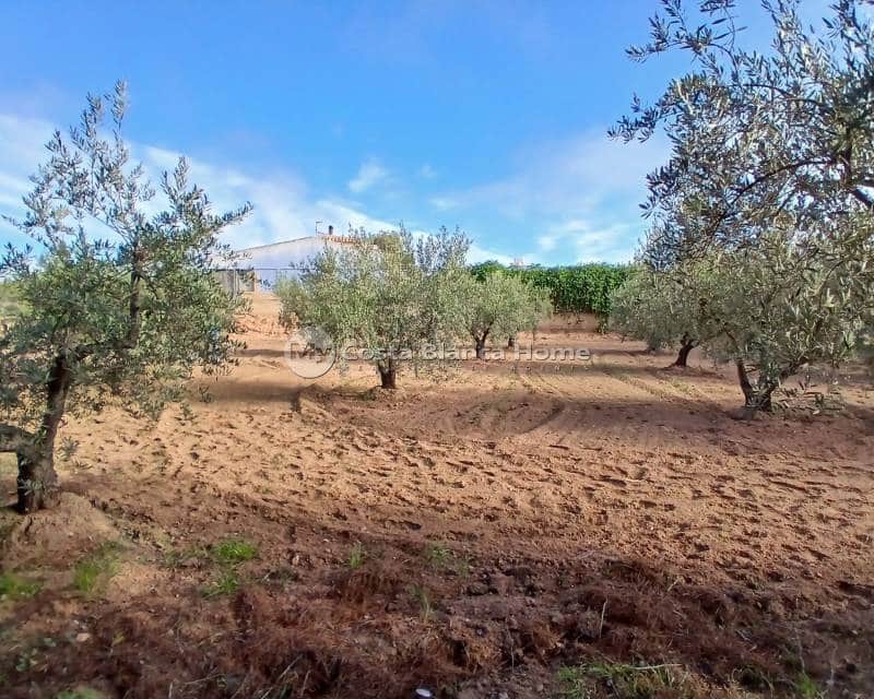 3 bedroom Finca/Country House for sale in Jumilla - € 140,000 (Ref: 8880731)