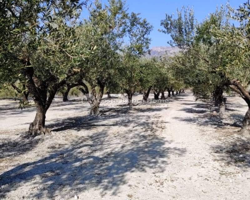 Finca/Casa di Campagna in vendita in Planes - 75.000 € (Rif: 8969229)