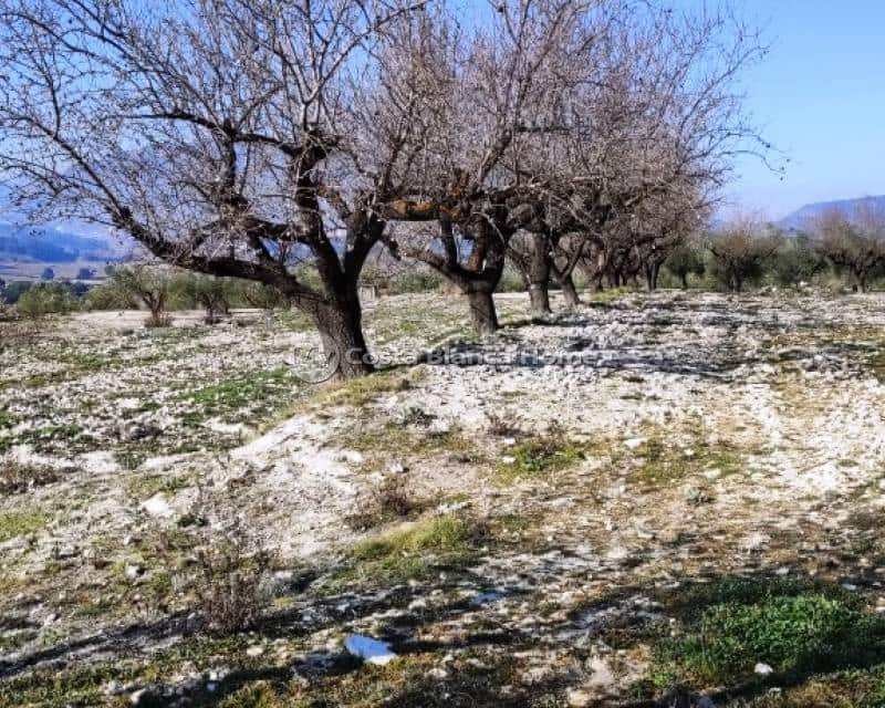 Finca/Casa di Campagna in vendita in Planes - 75.000 € (Rif: 8969229)