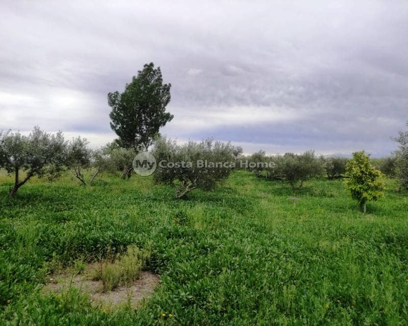 3 soveværelse Finca/Landehus til salg i Albaida med swimmingpool - € 110.000 (Ref: 8969246)