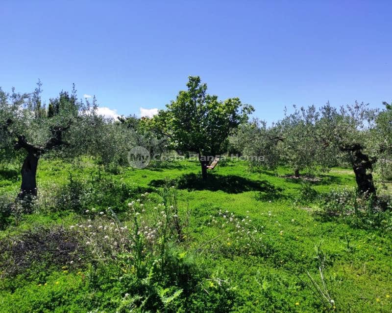 4 soveværelse Finca/Landehus til salg i Cocentaina med swimmingpool - € 250.000 (Ref: 8969249)