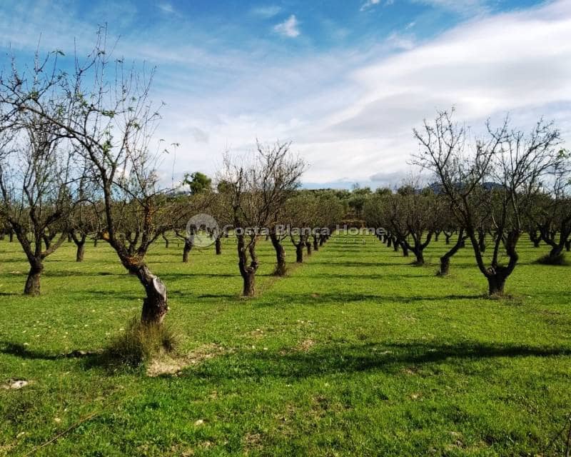 12 quarto Quinta/Casa Rural para venda em Benilloba com piscina - 1 100 000 € (Ref: 9013151)