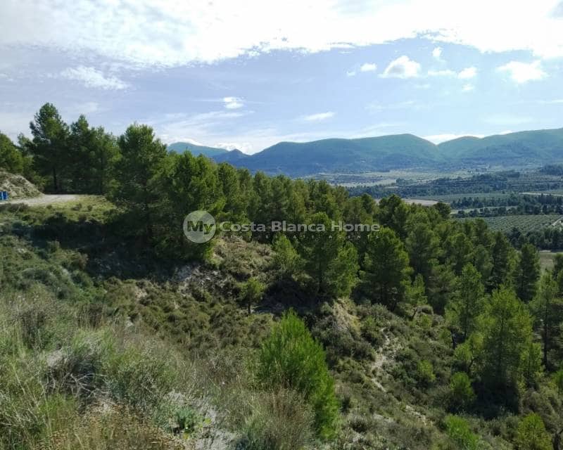 12 quarto Quinta/Casa Rural para venda em Benilloba com piscina - 1 100 000 € (Ref: 9013151)