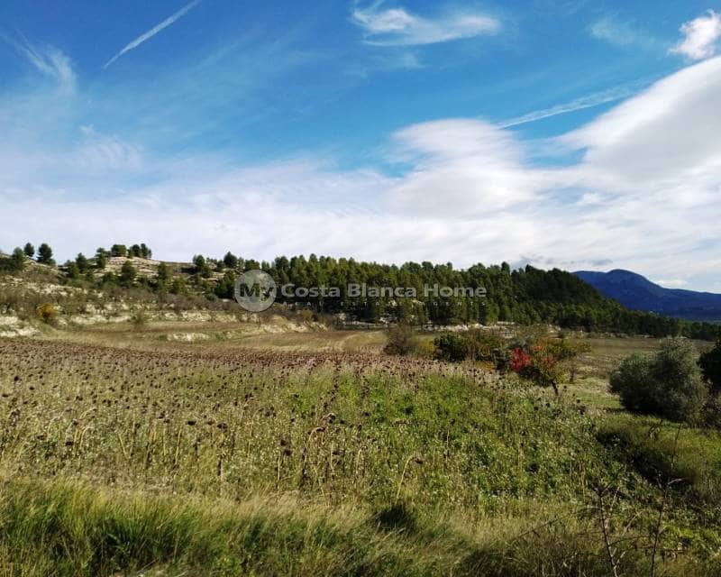 12 quarto Quinta/Casa Rural para venda em Benilloba com piscina - 1 100 000 € (Ref: 9013151)