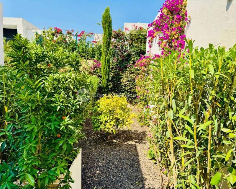 2 bedroom Villa for sale in Algorfa with pool - € 665,000 (Ref: 9172014)