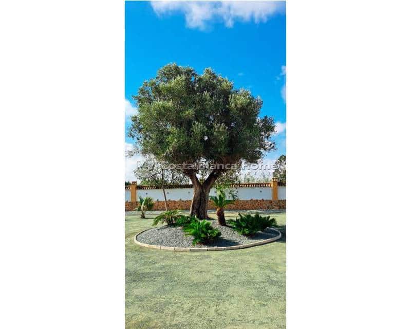 3 bedroom Finca/Country House for sale in Catral - € 385,000 (Ref: 9172031)