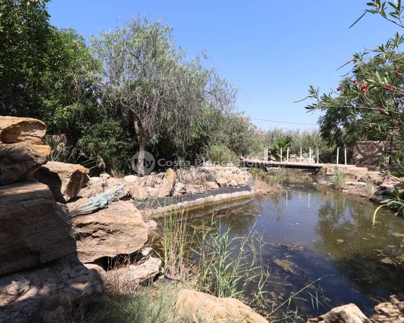 7 soveværelse Finca/Landehus til salg i Catral med swimmingpool - € 975.000 (Ref: 9172036)