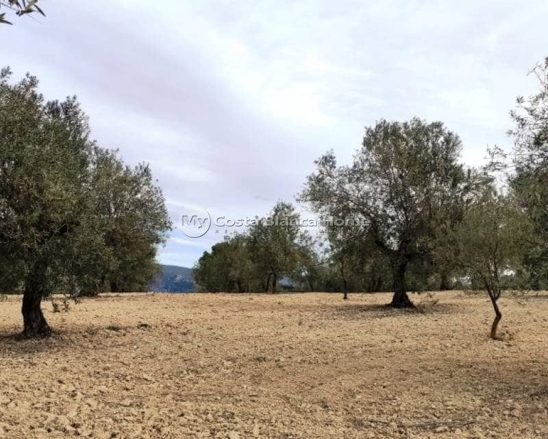 Ruïne te koop in Penaguila - € 50.000 (Ref: 9191671)