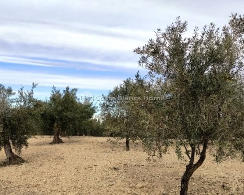 Ruïne te koop in Penaguila - € 50.000 (Ref: 9191671)