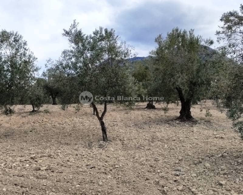 Ruïne te koop in Penaguila - € 50.000 (Ref: 9191671)