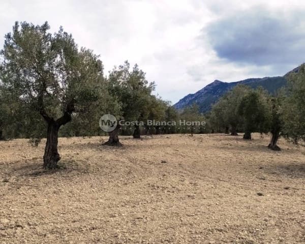 Ruïne te koop in Penàguila - € 50.000 (Ref: 9191671)