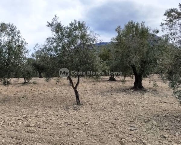 Ruïne te koop in Penàguila - € 50.000 (Ref: 9191671)