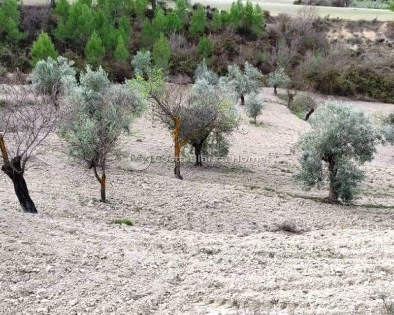 Ruïne te koop in Penaguila - € 50.000 (Ref: 9191671)