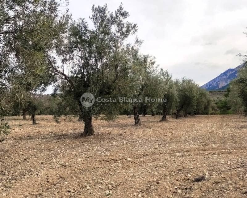 Ruïne te koop in Penaguila - € 50.000 (Ref: 9191671)