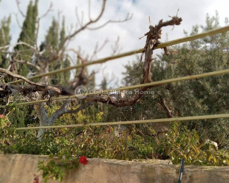 4 bedroom Semi-detached Villa for sale in Blanca - € 169,995 (Ref: 9191678)