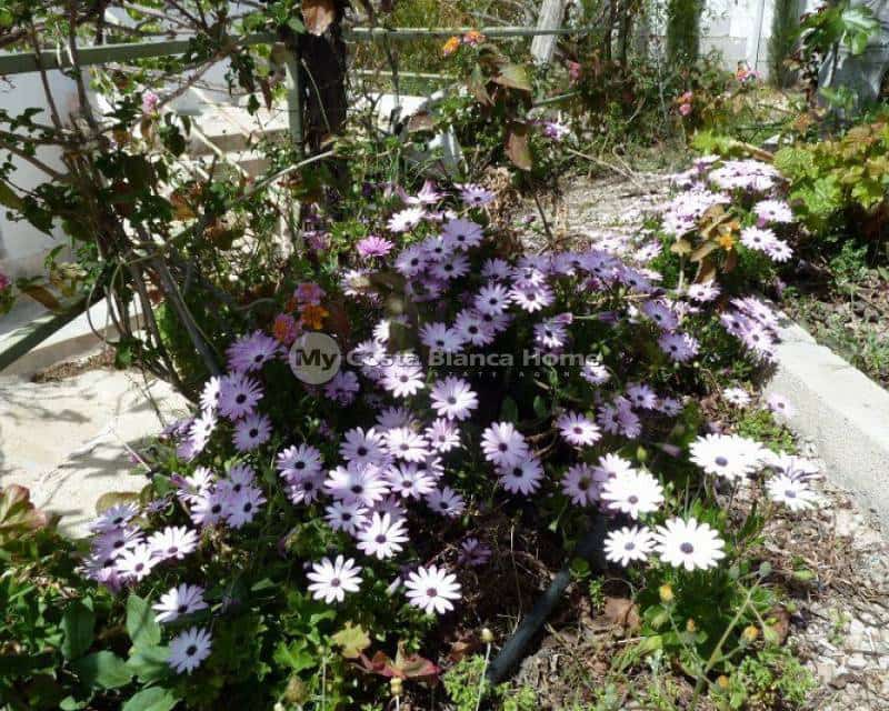 4 bedroom Semi-detached Villa for sale in Blanca - € 169,995 (Ref: 9191678)