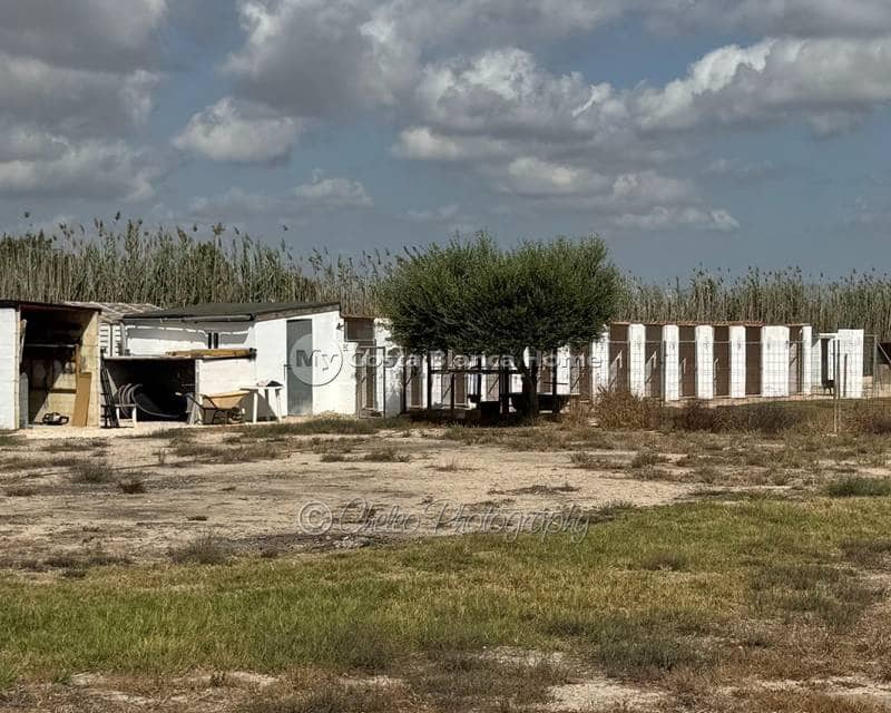 5 sypialnia Finka/Dom wiejski na sprzedaż w Catral z basenem - 399 000 € (Ref: 9203460)