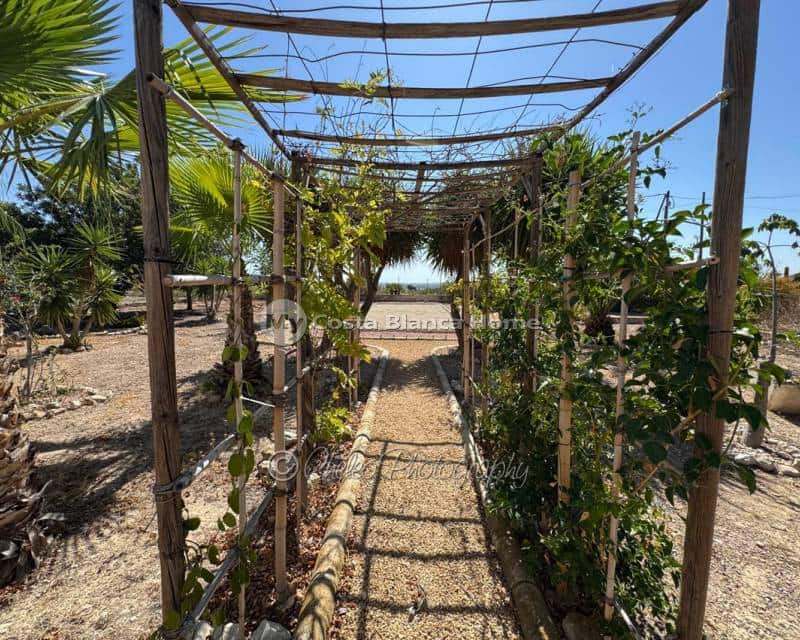 4 bedroom Finca/Country House for sale in Albatera with pool - € 289,000 (Ref: 9243824)