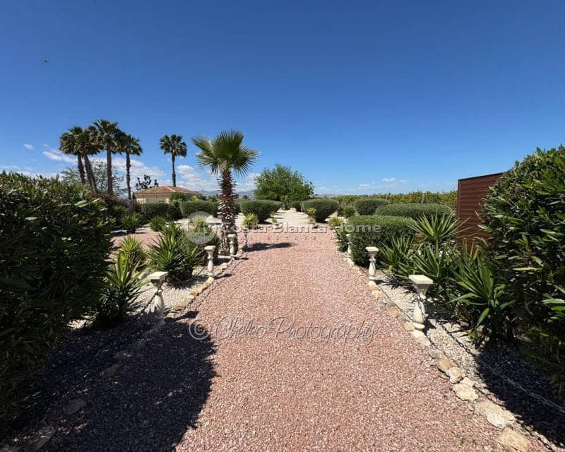 3 sypialnia Willa na sprzedaż w Catral z basenem - 379 995 € (Ref: 9778463)